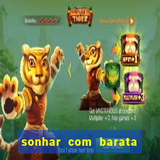 sonhar com barata jogo do bicho